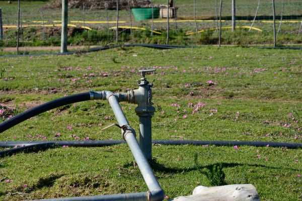 Farm Irrigation