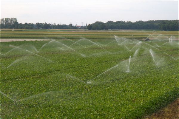 Field Irrigation