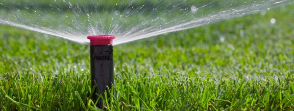 Pop Up Sprinklers Installation