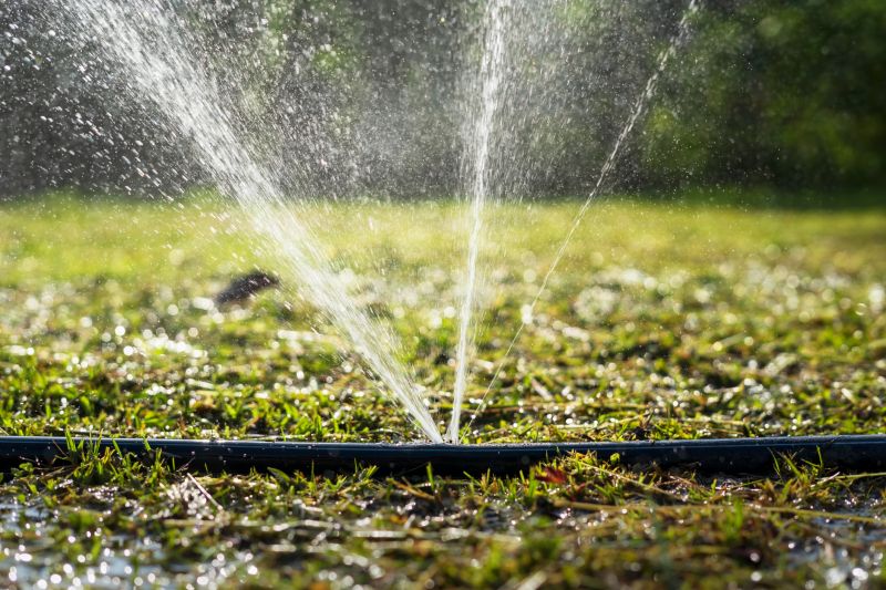 Sprinkler System Extension